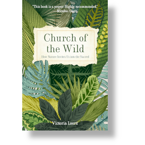 Church of the Wild-How Nature Invitws Us Into the Scred by Victoria Loorz. Braodleaf Press